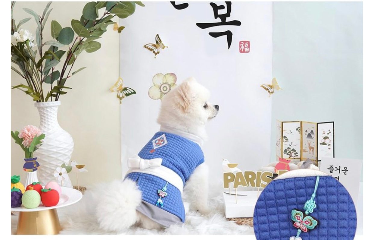 Blue Modern Korean Hanbok Suit for Dogs