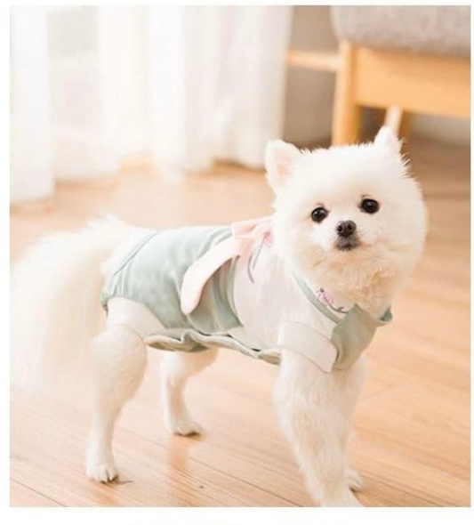 Korean Traditional Style Hanbok for Dog (Mint)