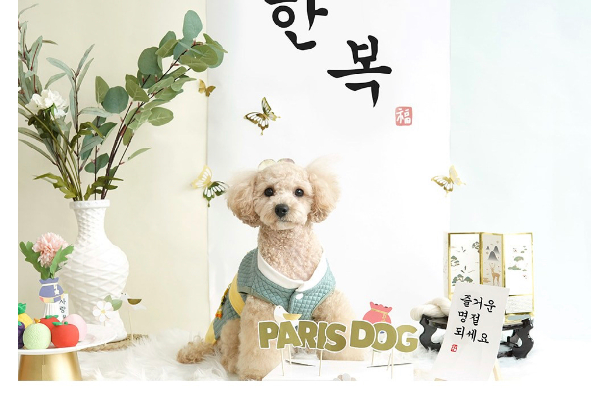 Green Modern Korean Hanbok Suit for Dogs