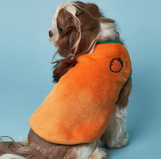Carrot Dog Suit