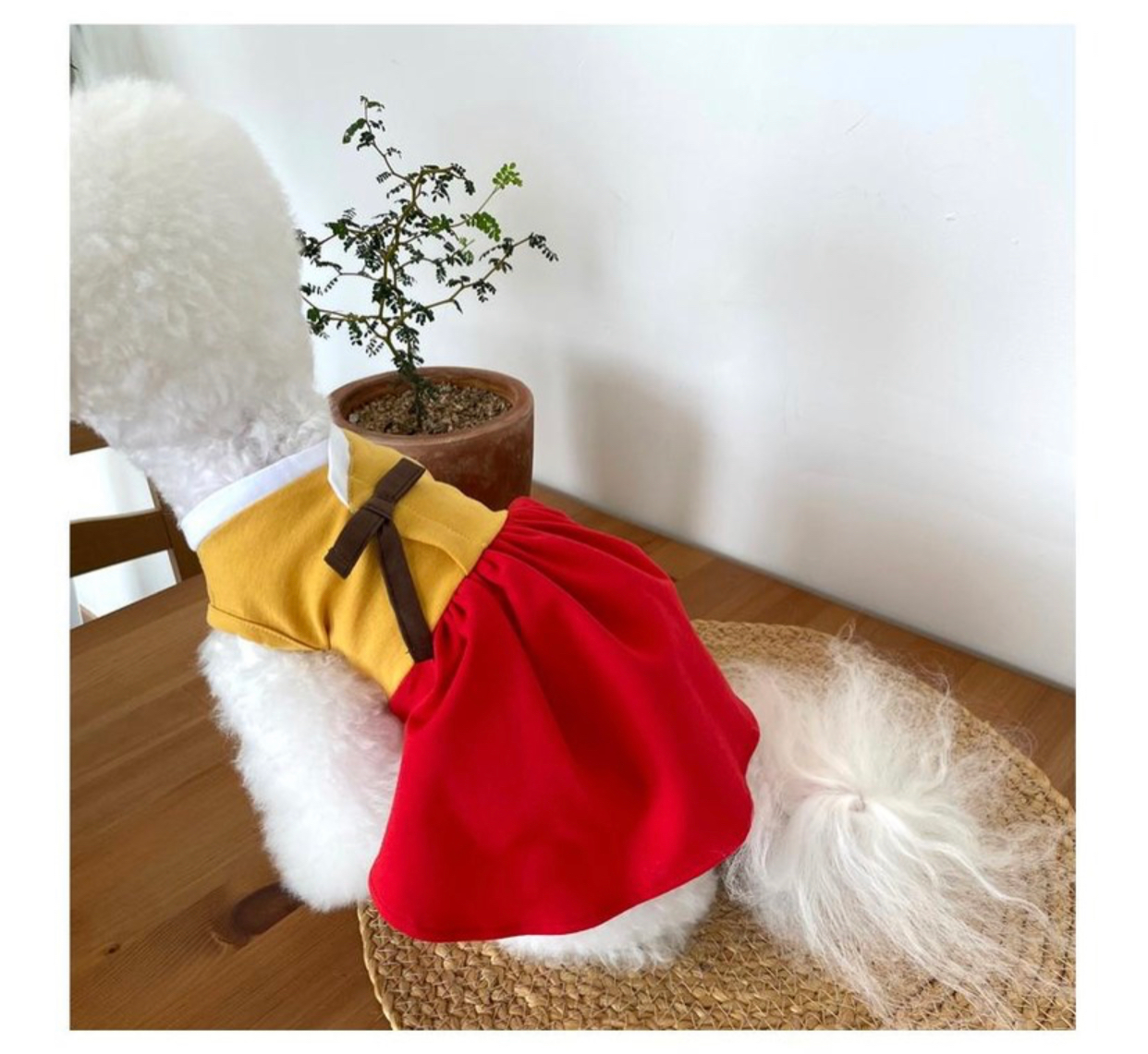Korean Hanbok for Dogs (Red/Yellow)